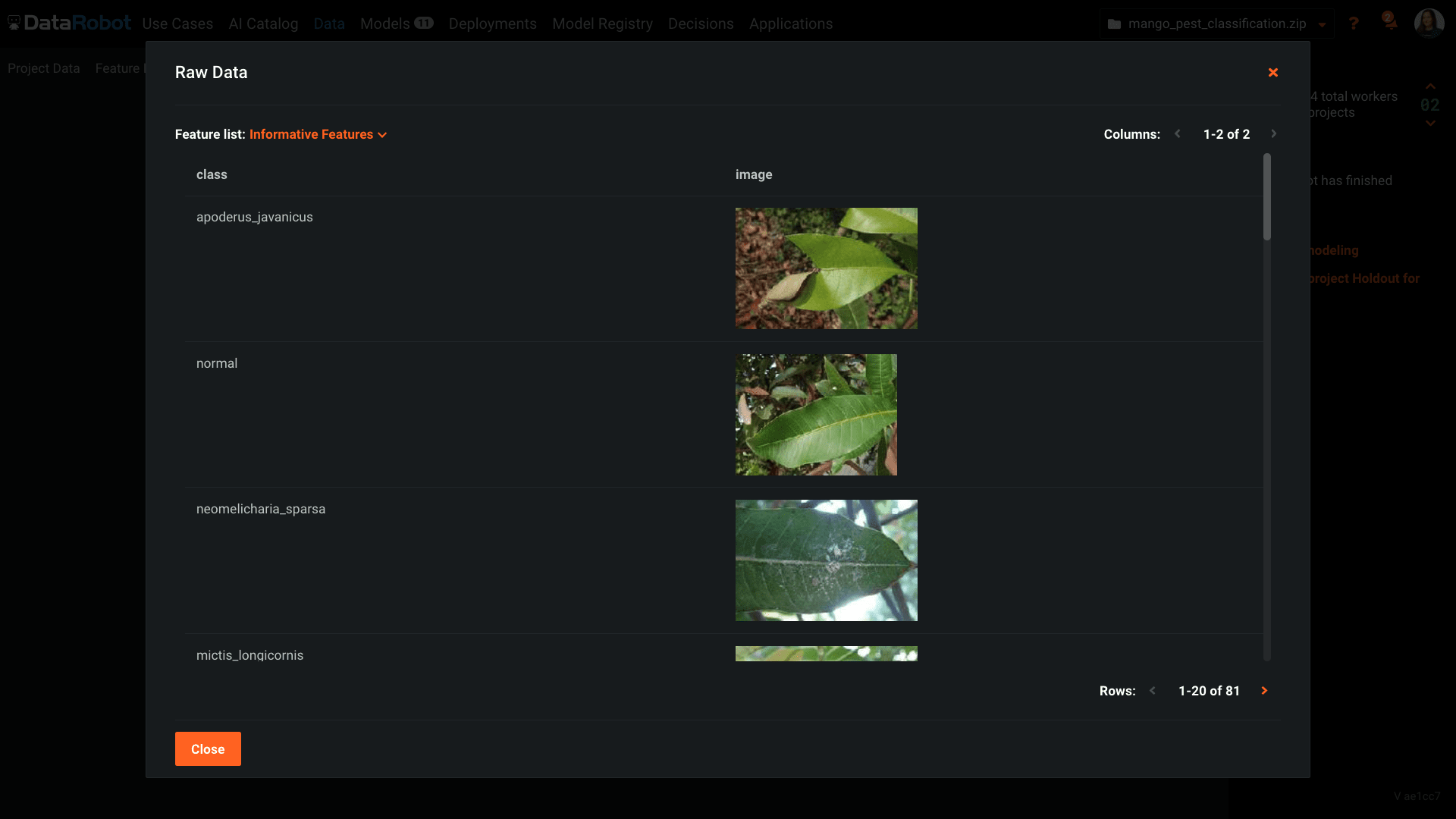 Feature 2