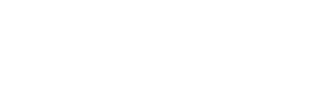 nz post logo light