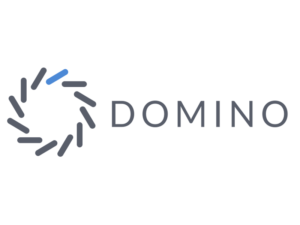 Domino Data Lab