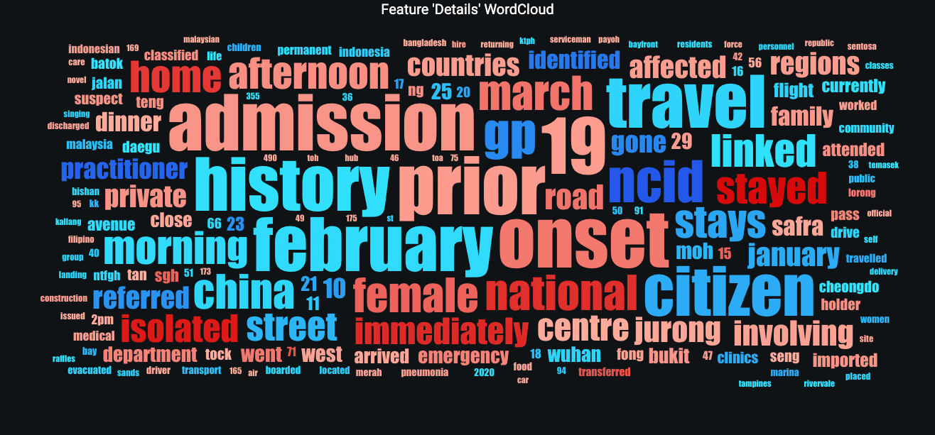 Feature Details WordCloud 2