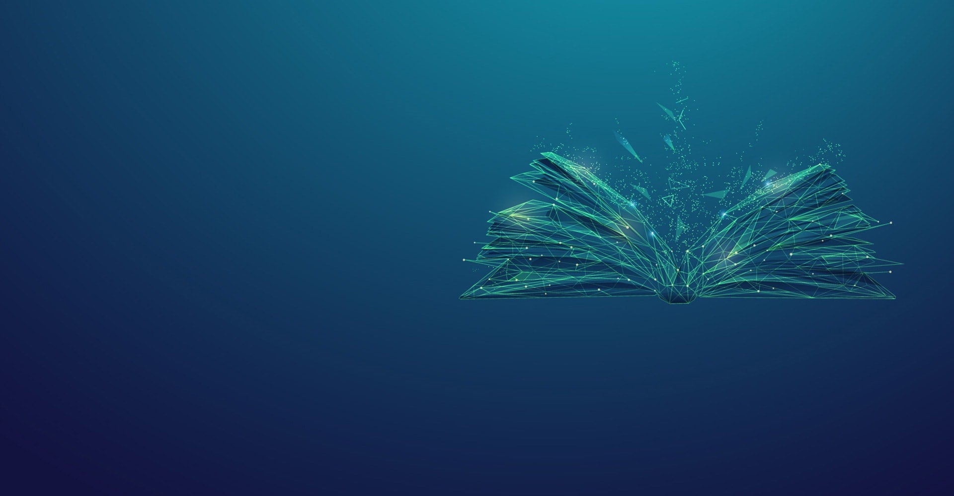 Data Literacy for Responsible AI BKG