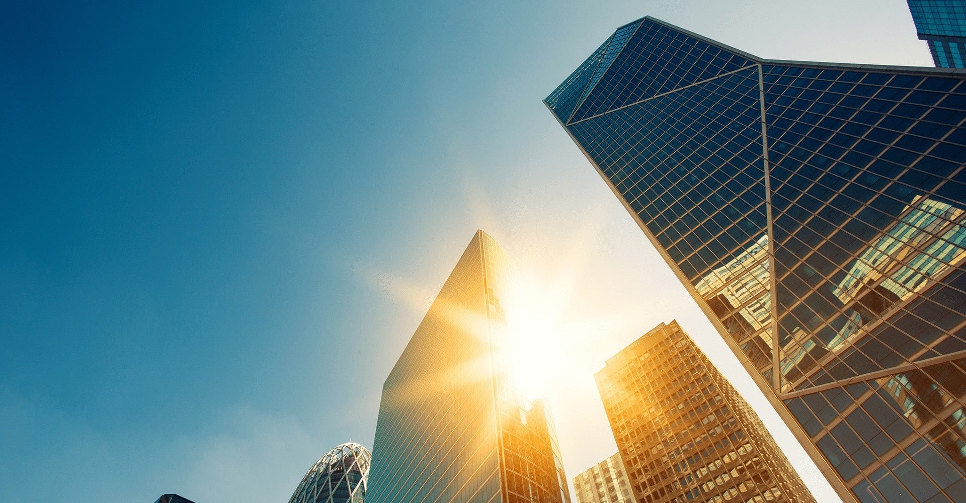 DataRobot APAC Financial Services Unleashed How Banks are Winning with AI Background V2.0