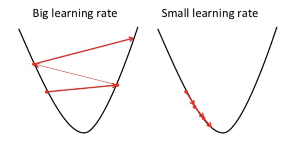 The learning rate