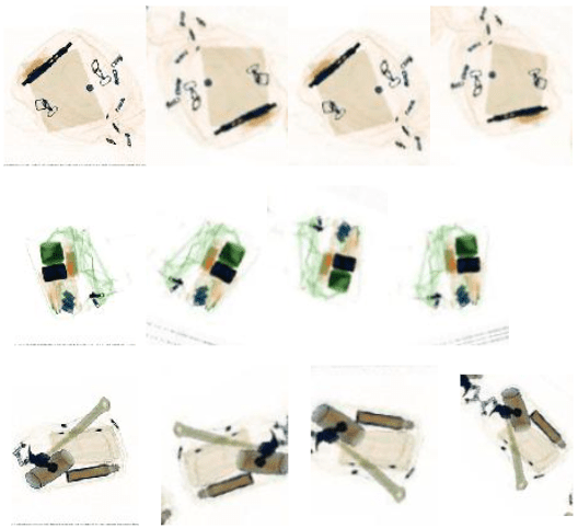 Image Augmentation Examples