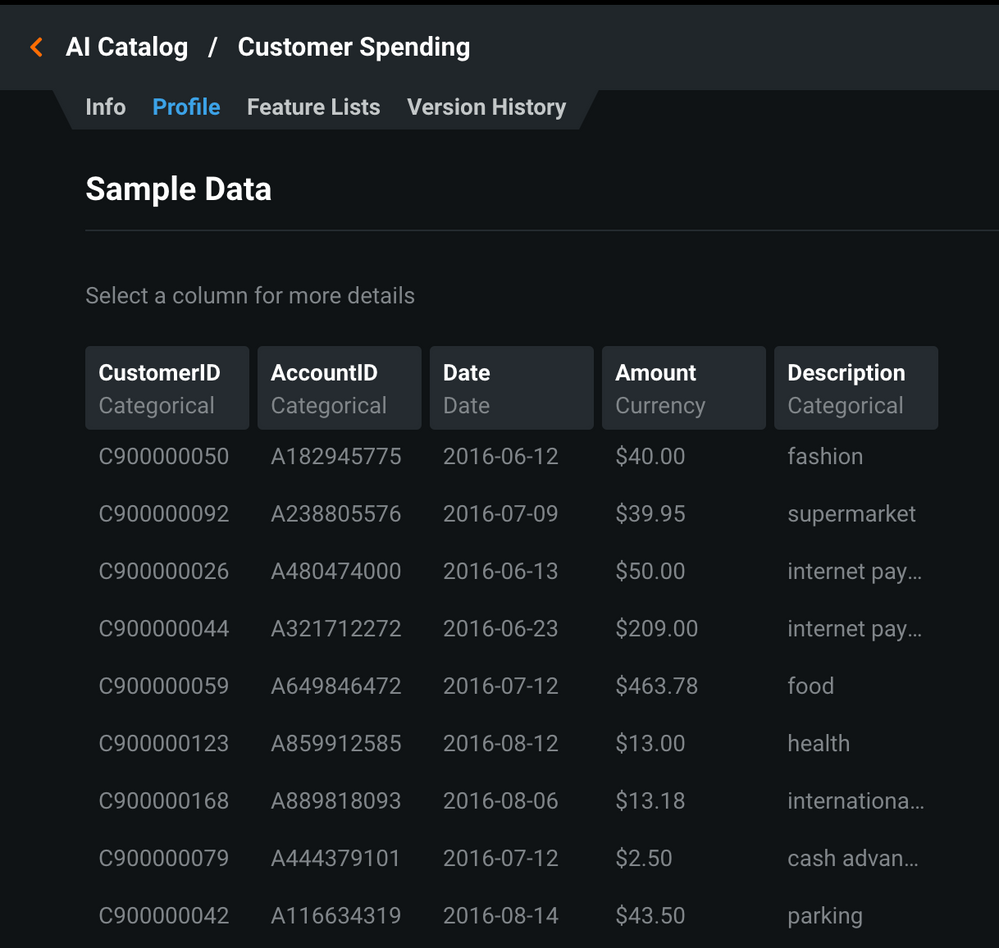 Figure 7. Sample from the Customer Spending dataset