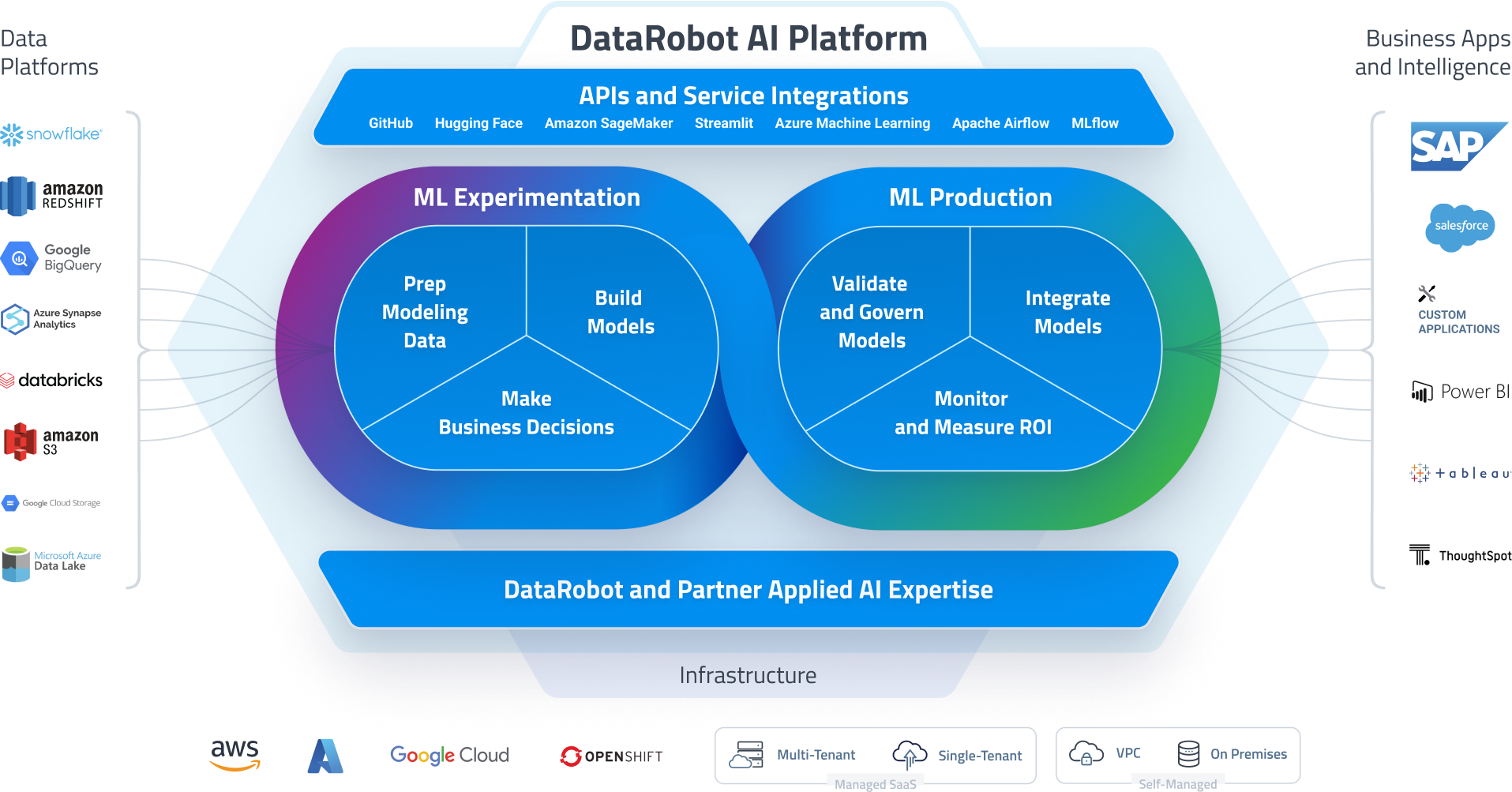 DR AI Platform1