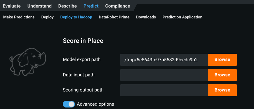 Figure 2. Configuration setting for scoring in place on a Hadoop Cluster