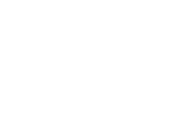 BSI light logo