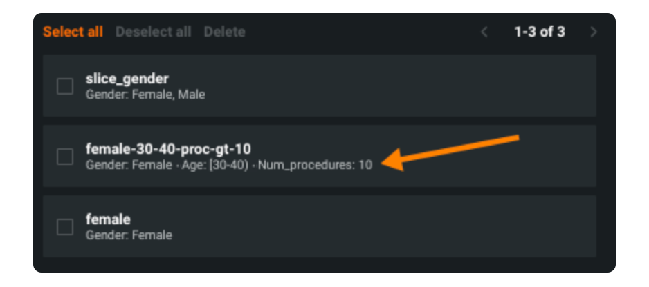 define a custom Slice - DataRobot