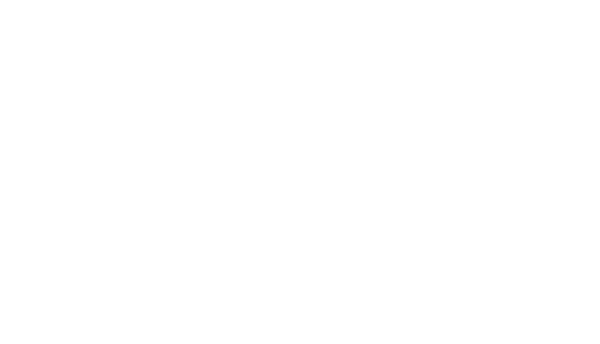 Norfolk Iron & Metal logo