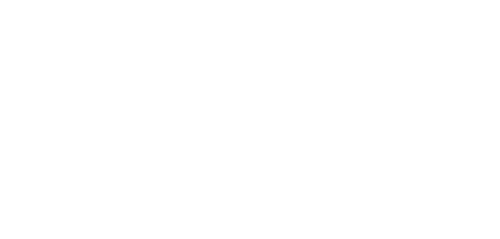 Virtue Foundation logo